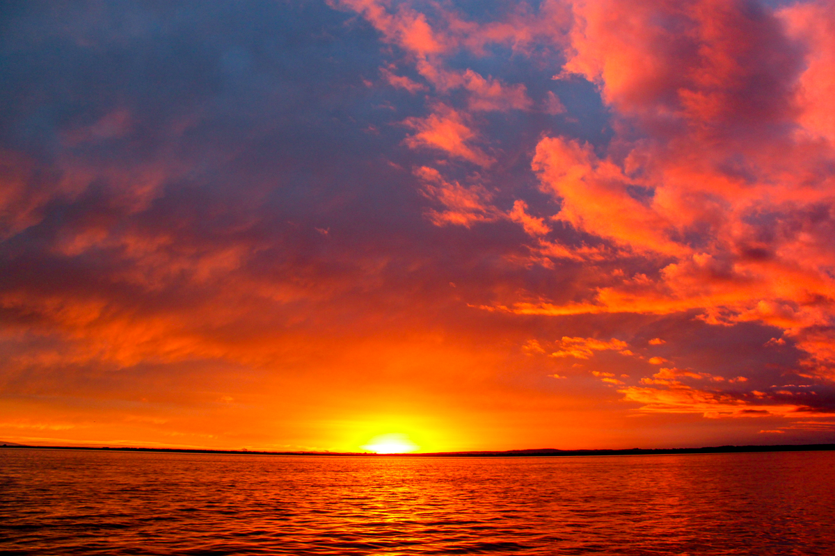 Melbourne Sunrise Shutterbug